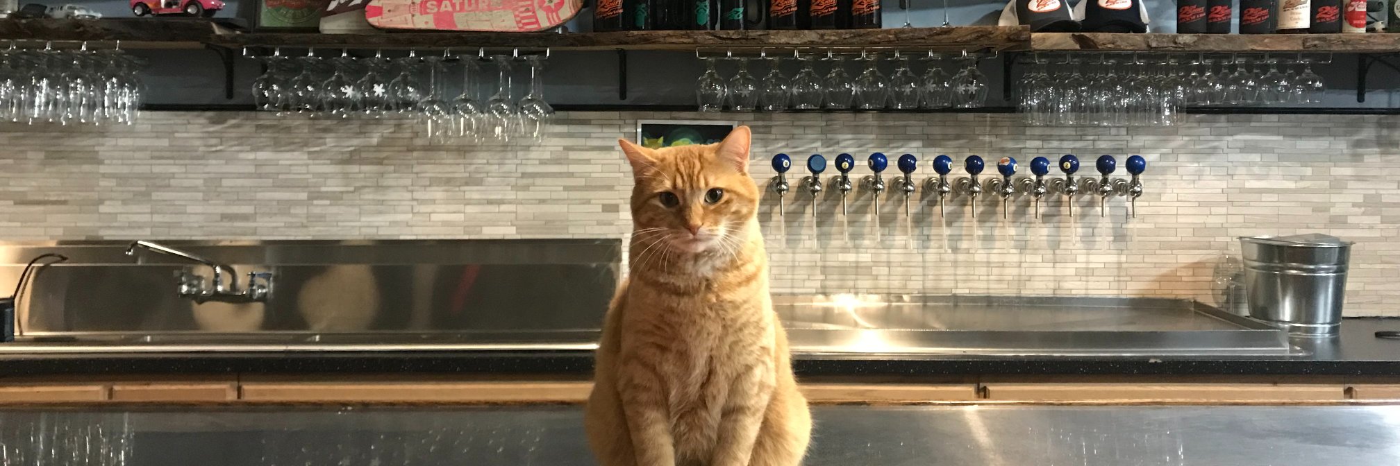 2nd Shift Brewing banner