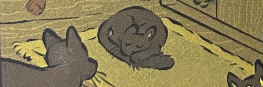 ale⋆˙⟡'s banner