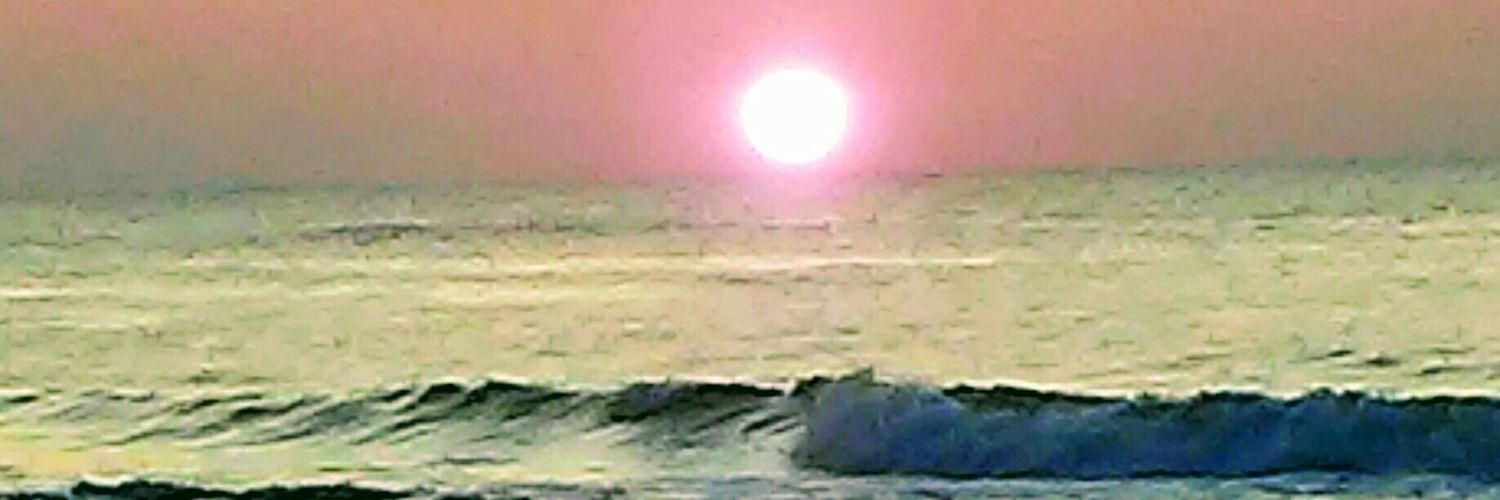 HillaryPell's profile banner image