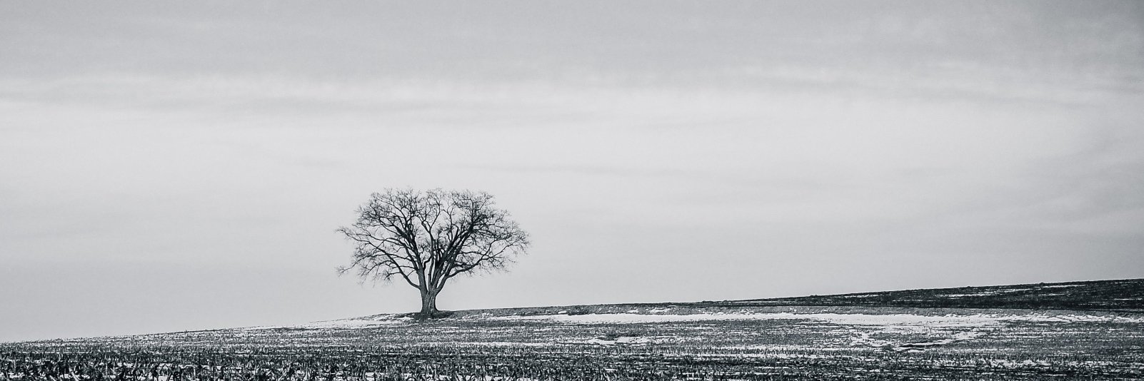 geojmanning's profile banner image