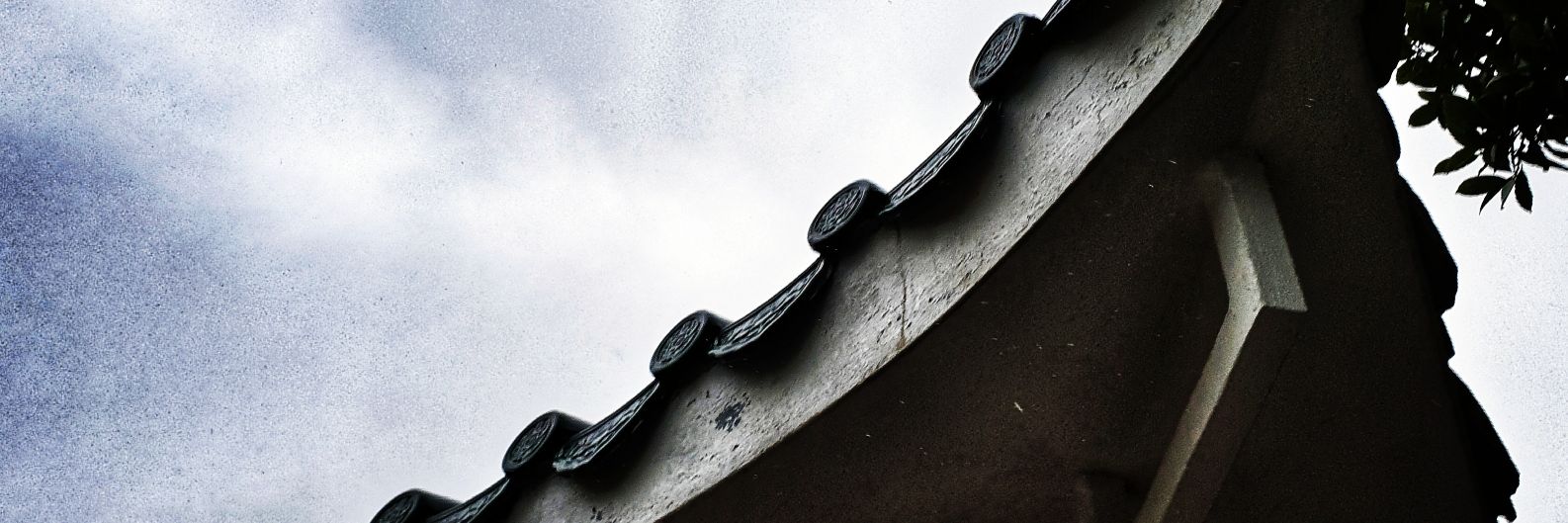Tezzums's profile banner image