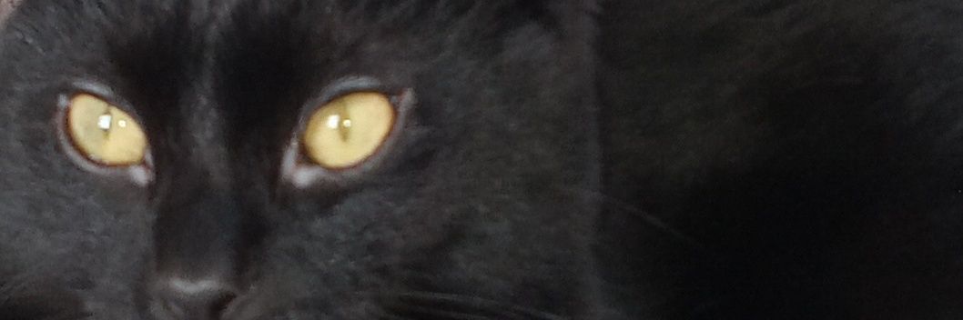 Michael Allen banner