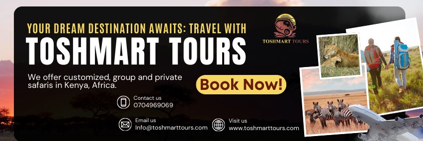 ToshMarttours's profile banner image