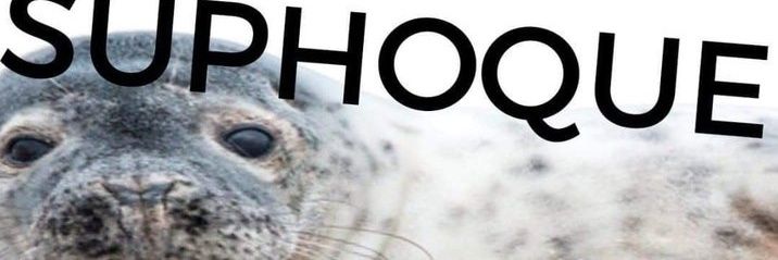 yorick le dur à queer | free palestine 🇵🇸🍉 banner