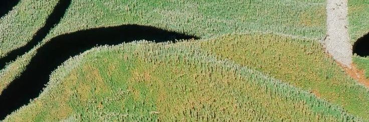 ᴅᴇꜱʜa･*:･✿ | SmartPLS KeyLisence PROFESSIONAL banner