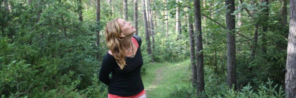 El Nido de Anneke banner