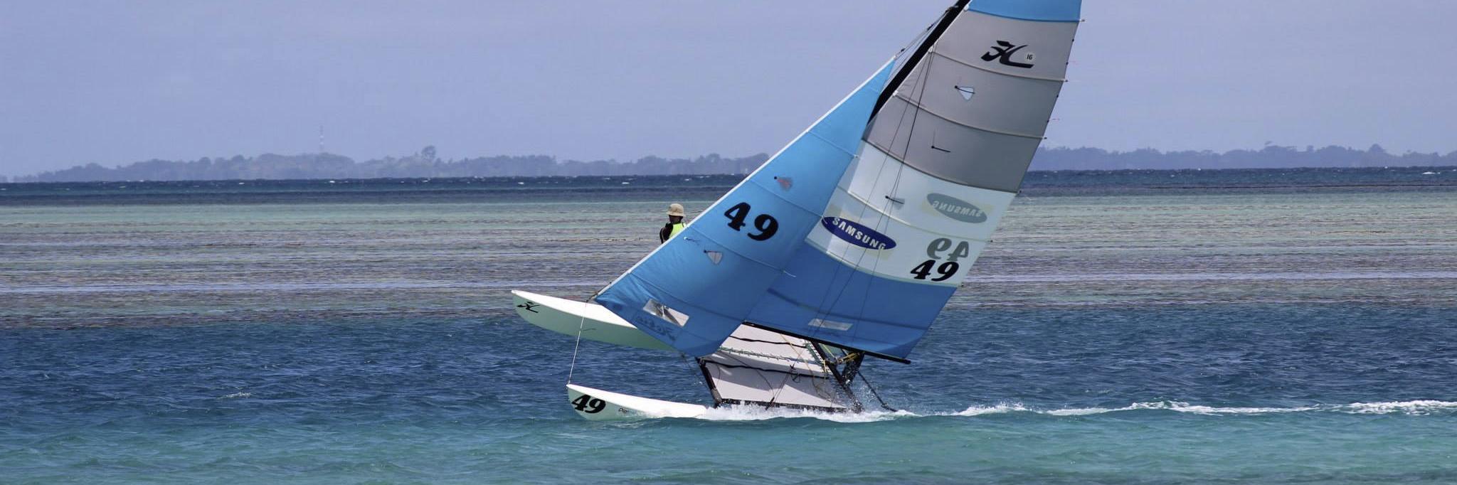 Poul Hansen banner