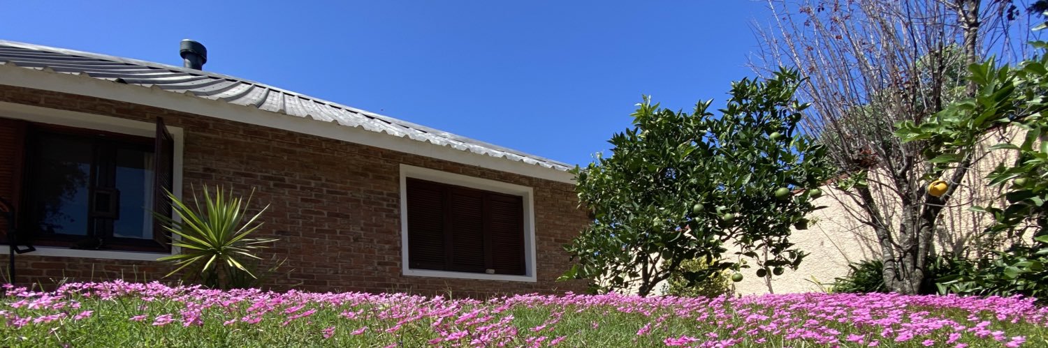 Armin Bachmann banner