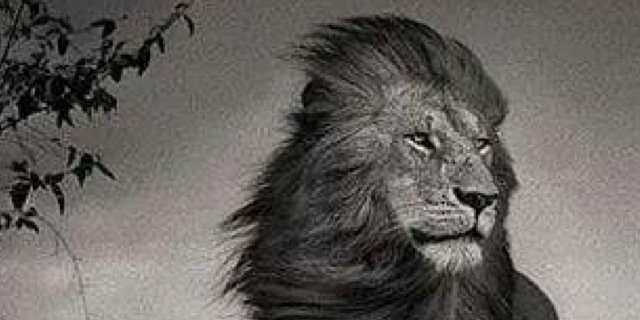 tyoung892's profile banner image
