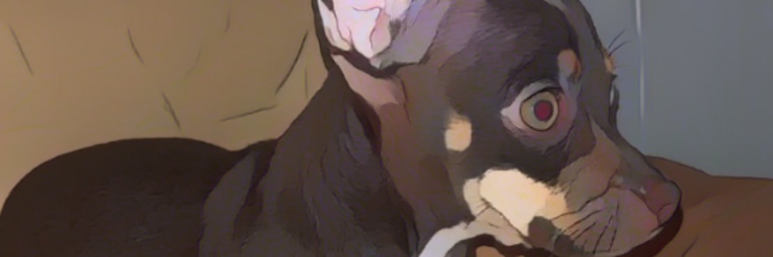 PEANUT 🥜 banner