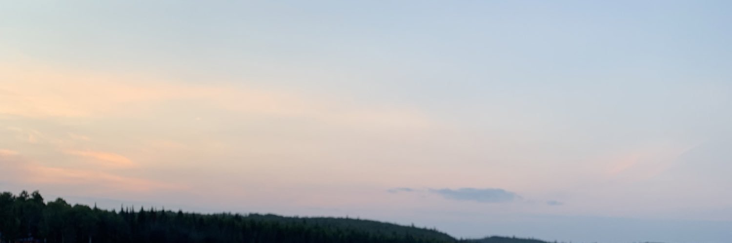 EmyCarier's profile banner image