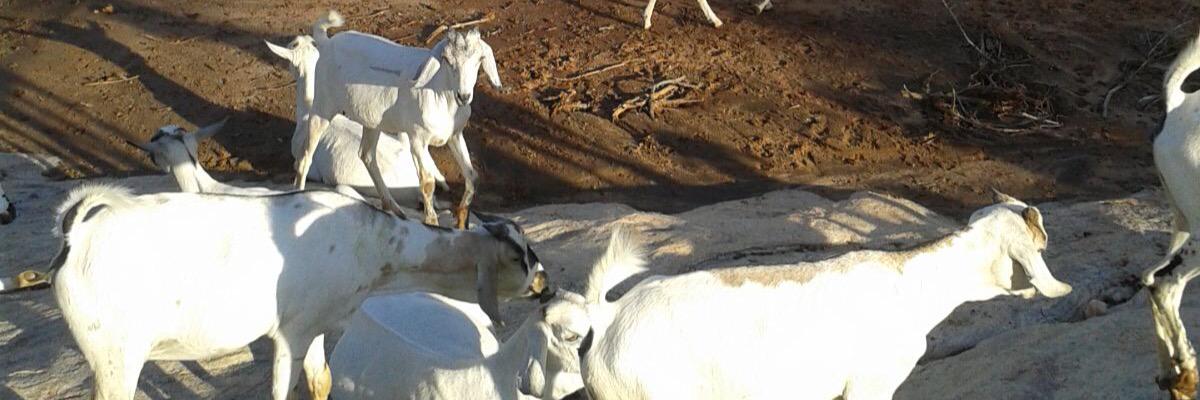 I_Muktar's profile banner image