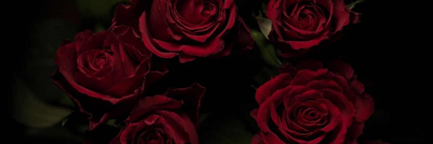 _engamelrach's profile banner image