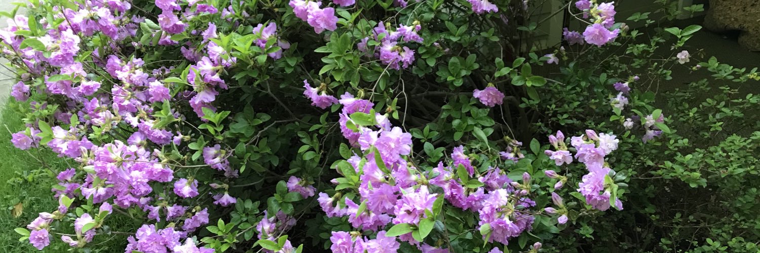 kmurray49's profile banner image