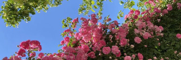 ☁️ banner