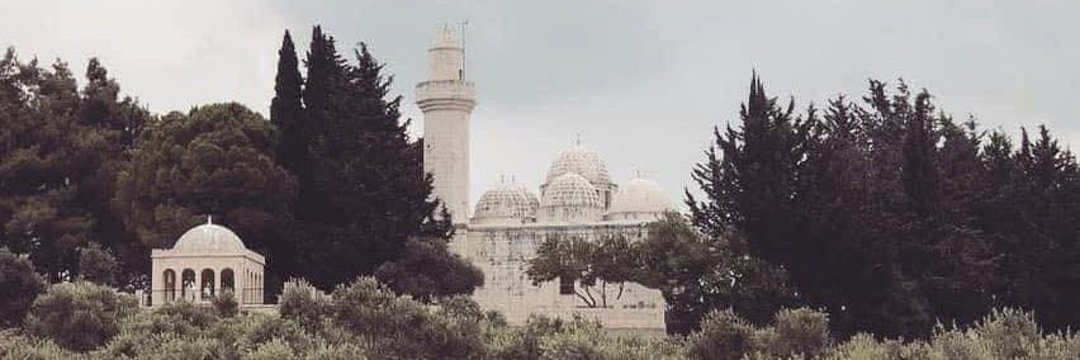 Shehab El-Din,Ali's banner