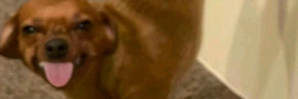 DaBaddest9367's profile banner image