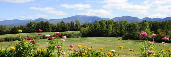 whitemts Profile Banner