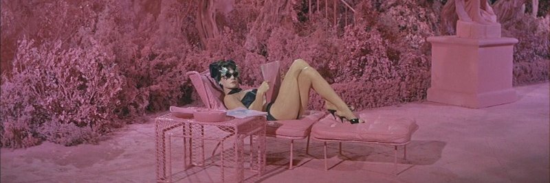 Kitty Robson banner