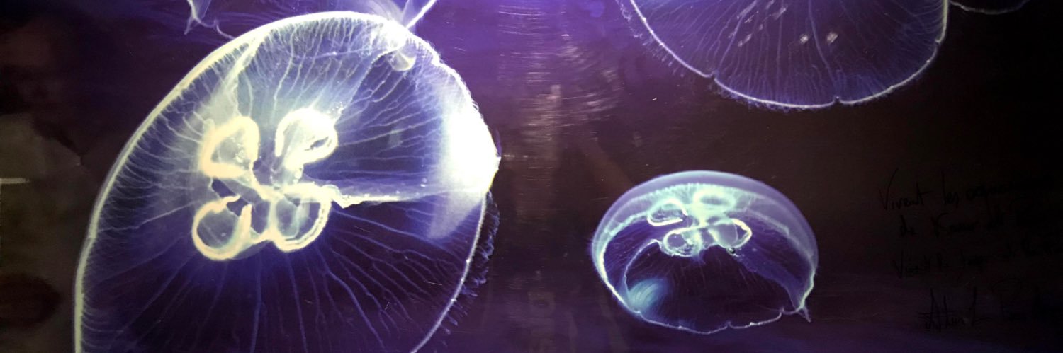funswimming_128's profile banner image