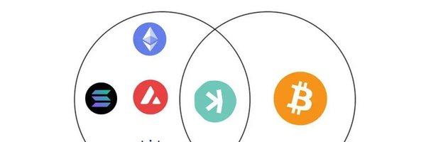 GuruCrypto14993 Profile Banner