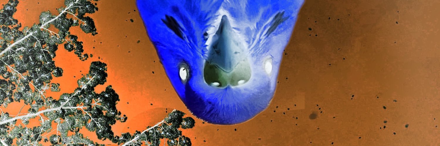 parakeetsan's profile banner image