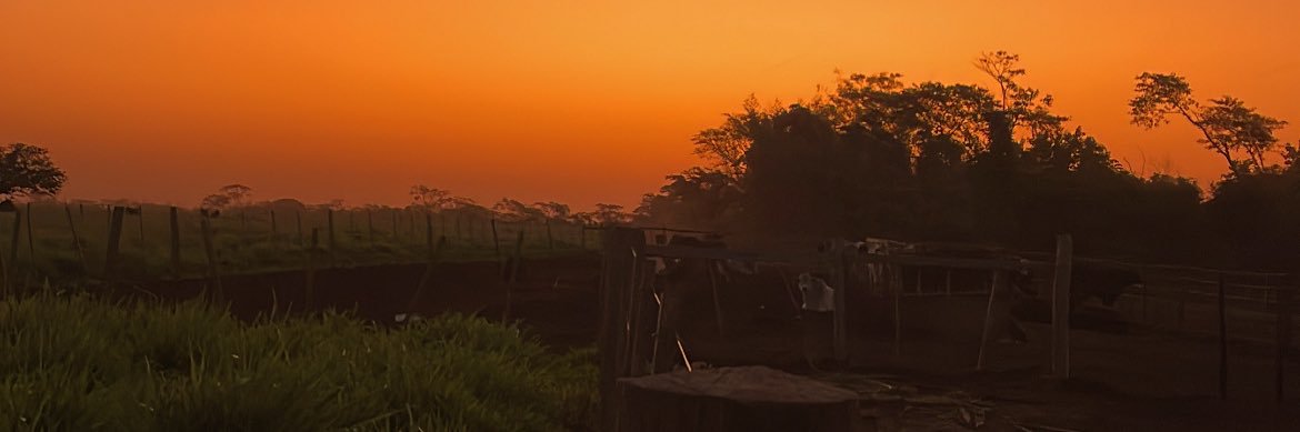 emaka85's profile banner image