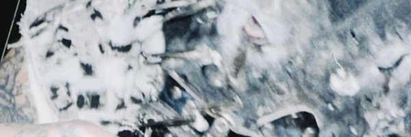 Frostborne_ Profile Banner