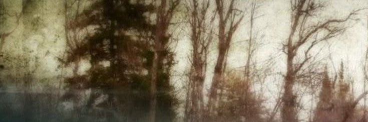 bl00diedb0dy's profile banner image