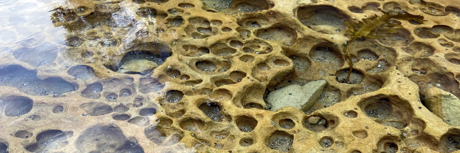 Melanie Rayment banner