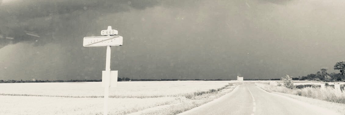 utaleonhardt's profile banner image