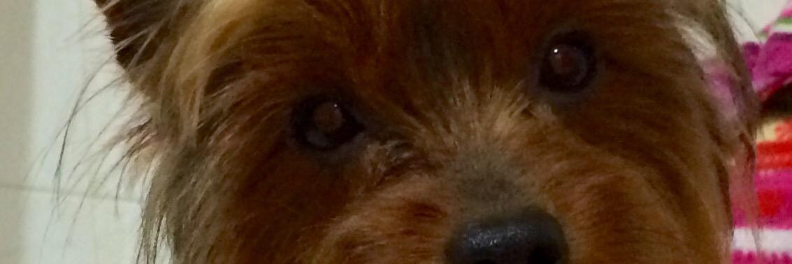 Beleen124's profile banner image