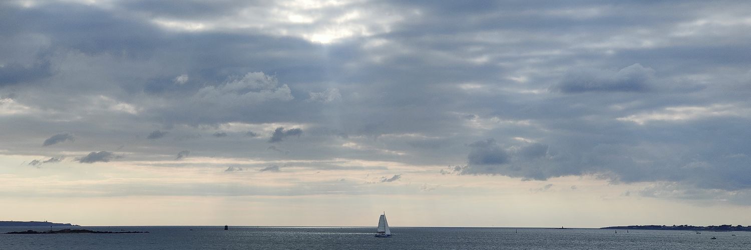 Édouard le Ricque ن banner