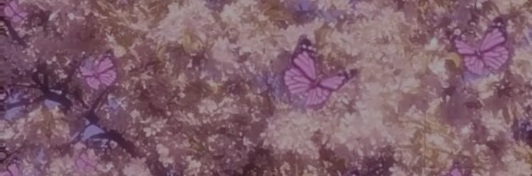 madisonisking's profile banner image