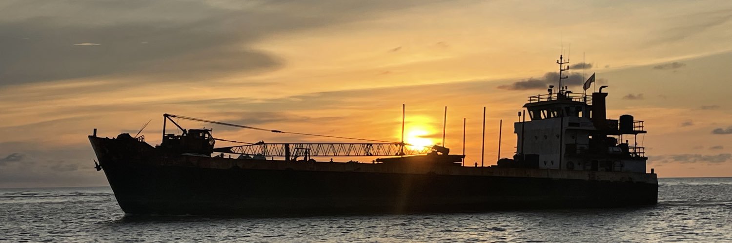 nysaucun's profile banner image