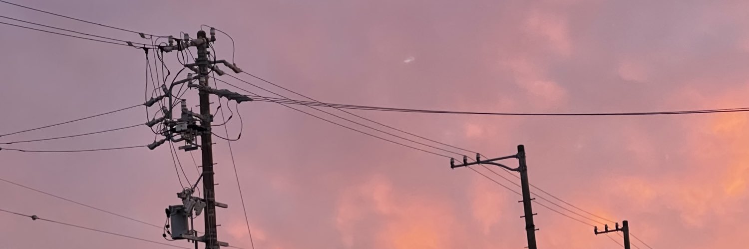 スカルにゃん banner