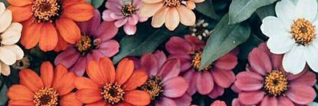chiarsamailblu's profile banner image