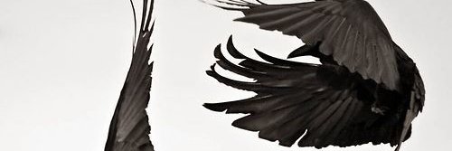 BTH_Akili's profile banner image