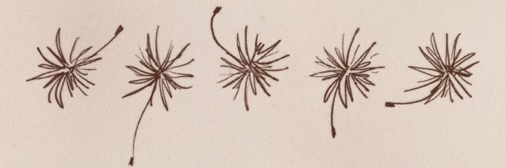 崔小半 banner