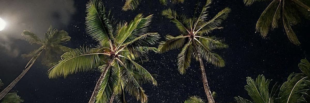 theoriginal_5's profile banner image