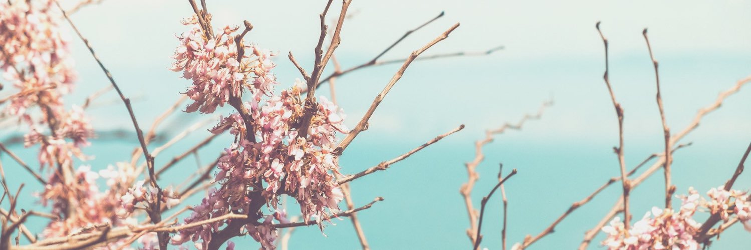 antzyally's profile banner image