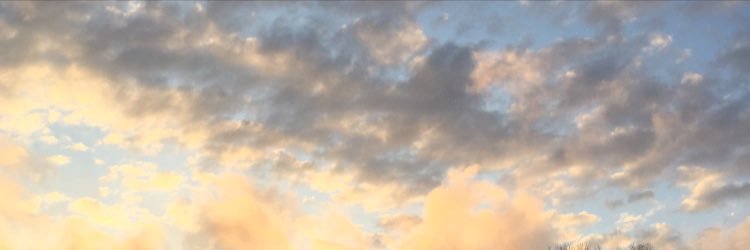 GiannaLeite's profile banner image
