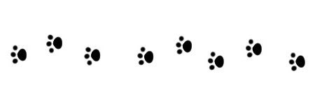 kanon🐈‍⬛🌙 banner
