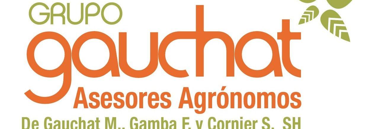 Fabián Gamba banner