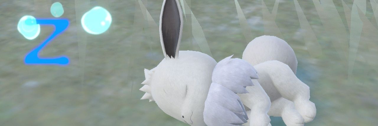 Liru_tokoya's profile banner image
