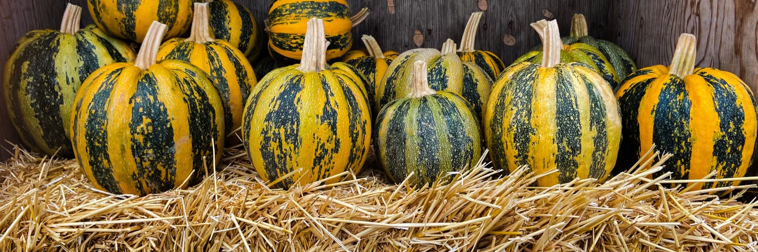 Sabrina Henry banner