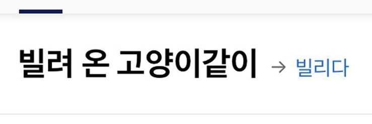 피스타치호's banner