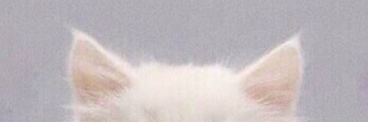 ほの banner