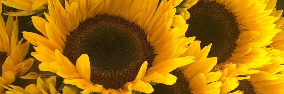 saiddaaa's profile banner image