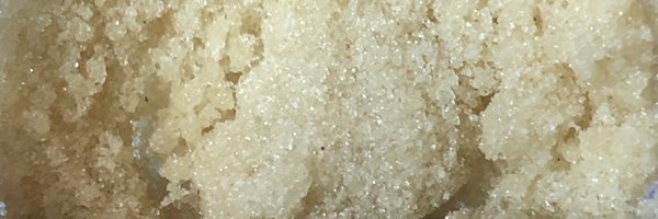 hash_on_hudson Profile Banner